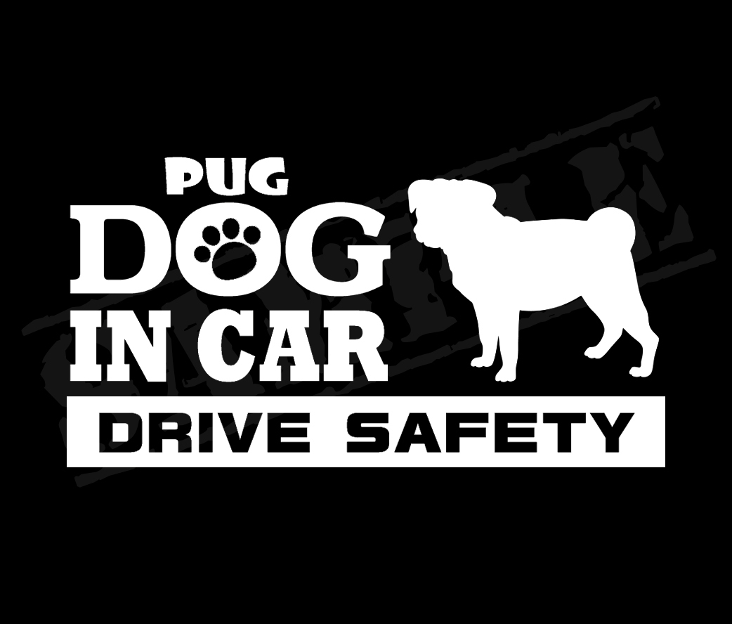 ★☆DOG IN CAR・DRIVE SAFETY　パグ　ワンちゃんステッカー☆★_画像1