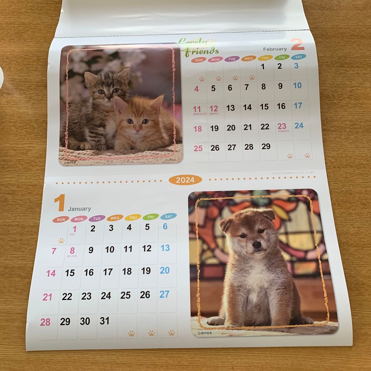 壁掛けカレンダー　2024   犬&猫