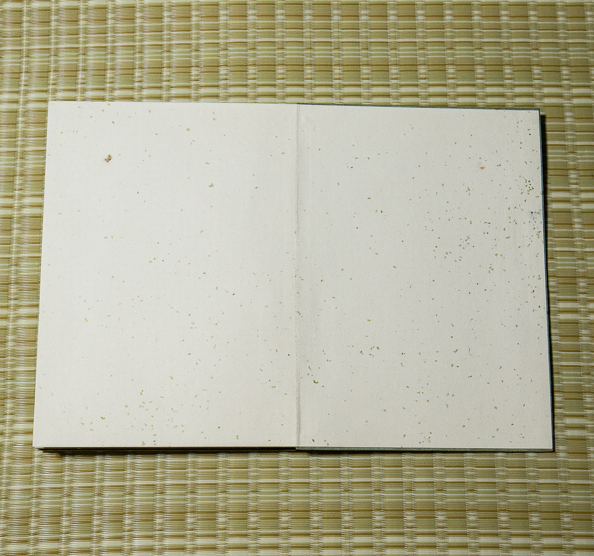 6800円 1464 古い白帖 無地の画帖 帙入り 14面 28ページ 古筆 6800円 1464 古い白帖 無地の画帖 帙入り 14面 28ページ 古筆