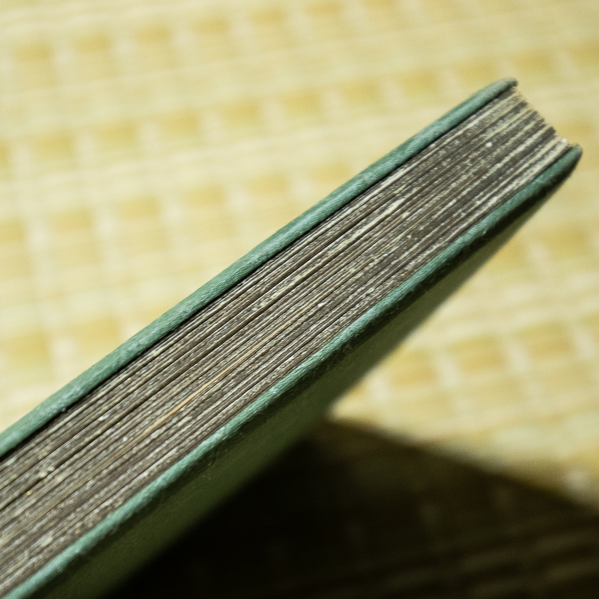 6800円 1464 古い白帖 無地の画帖 帙入り 14面 28ページ 古筆 6800円 1464 古い白帖 無地の画帖 帙入り 14面 28ページ 古筆
