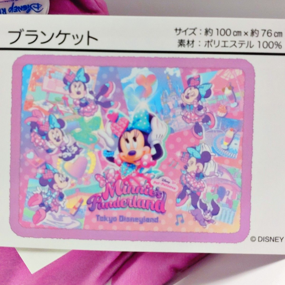 ディズニー パルパルーザ ミニーのファンダーランド ディズニー パルパルーザ ミニーのファンダーランド