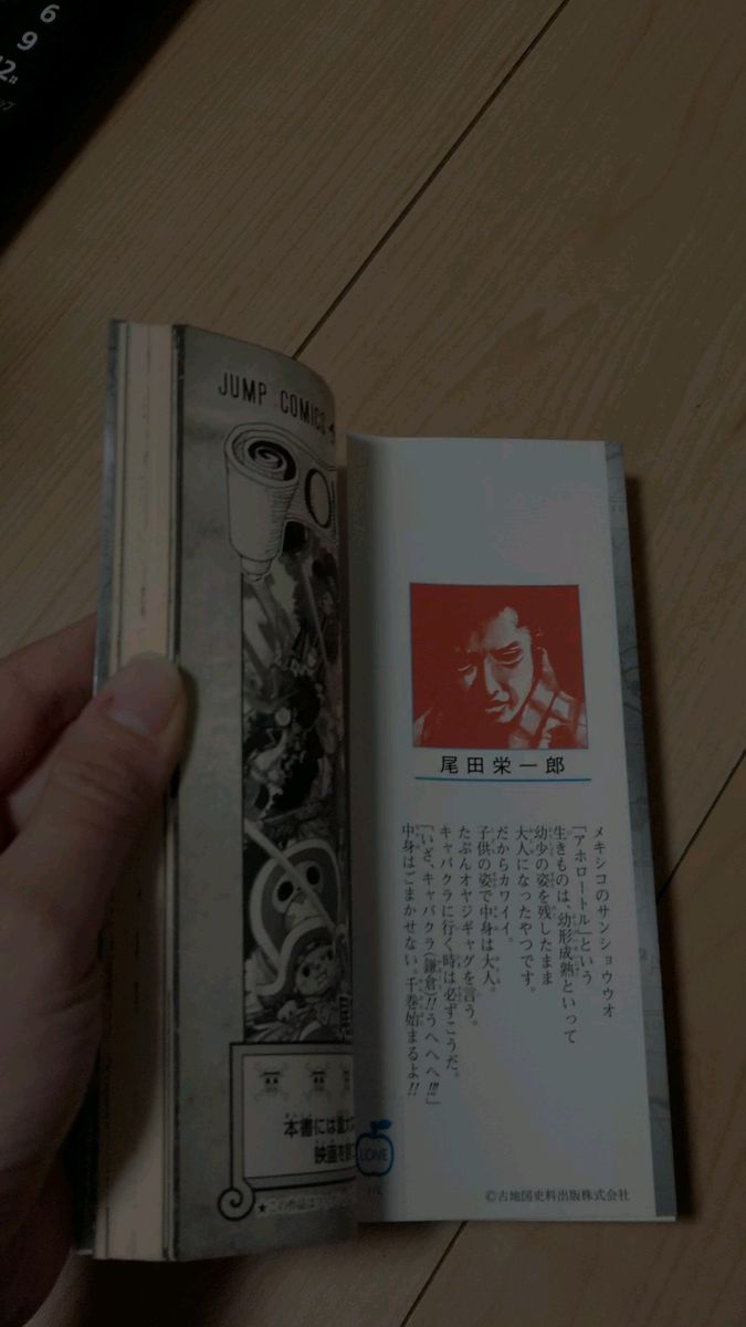 ONE PIECE(ワンピース)ブック