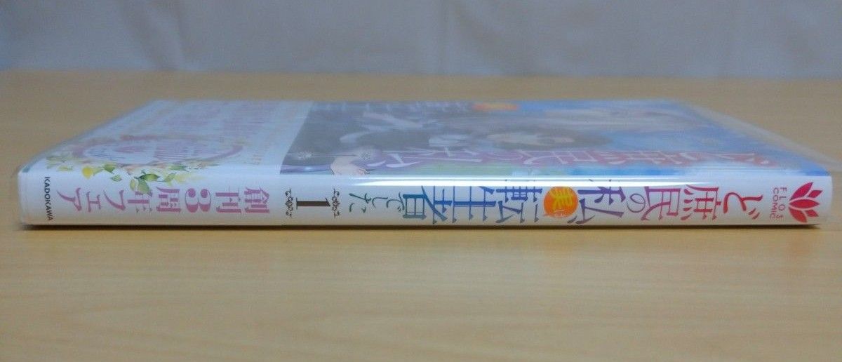 ど庶民の私、実は転生者でした(コミック)１巻