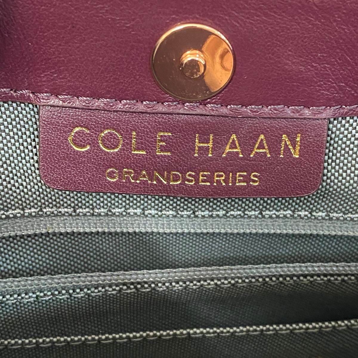 未使用同様 COLE HAAN コールハーン パイソン柄 巾着 ショルダーバッグ