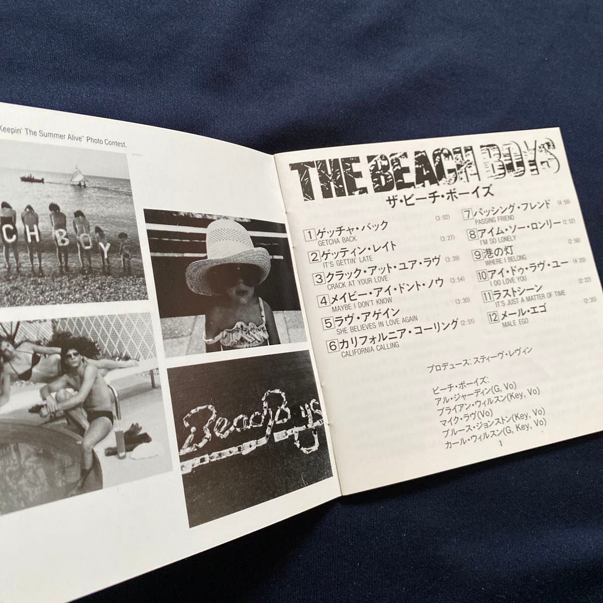 ザ・ビーチ・ボーイズ/THE BEACH BOYS  箱帯　国内初盤