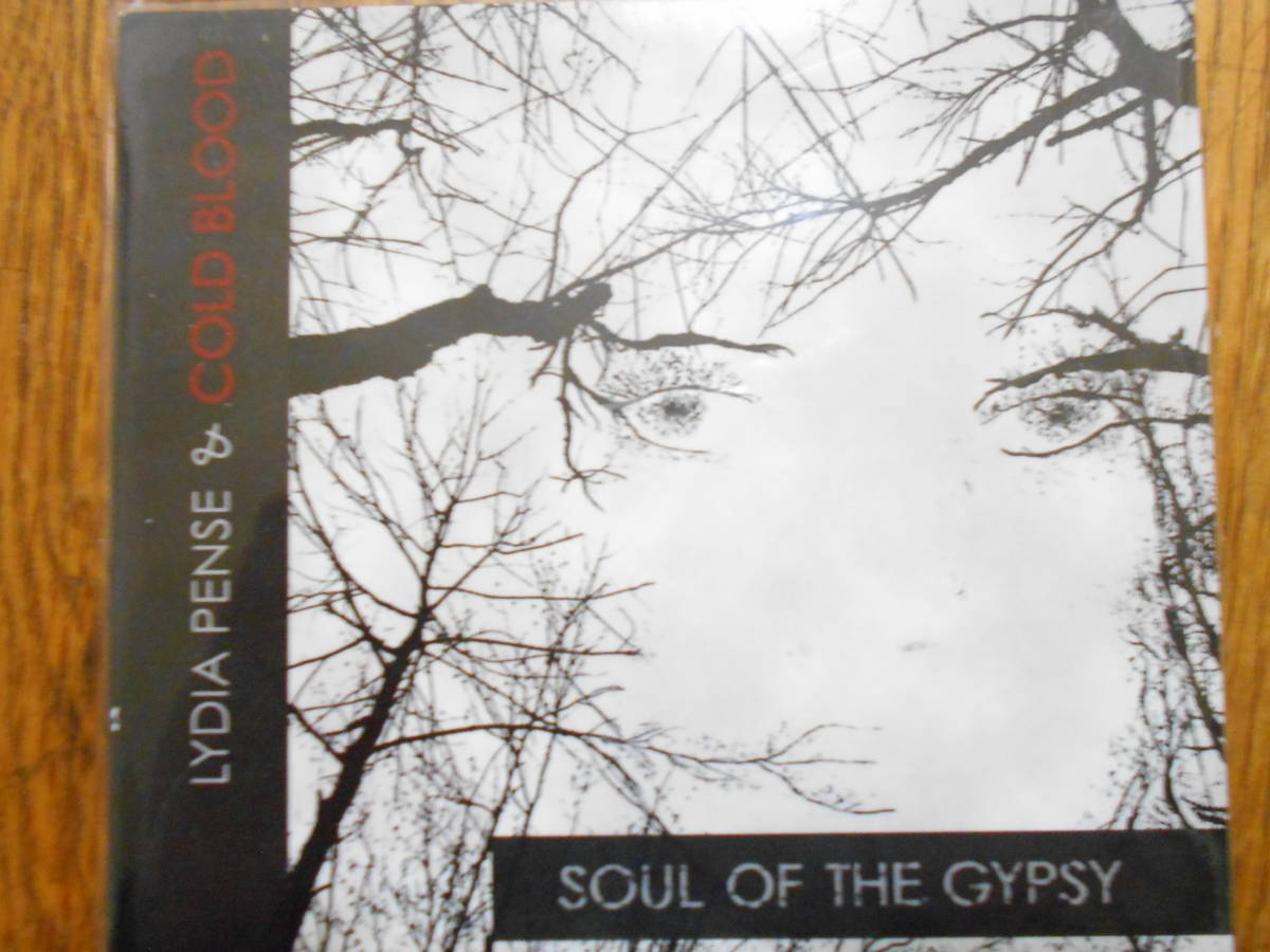 最新作未使用【 Lydia Pence & Cold Blood / Soul Of The Gypsy 】 リディア・ペンス コールド ブラッド ソウル・オブ・ザ・ジプシー_画像1