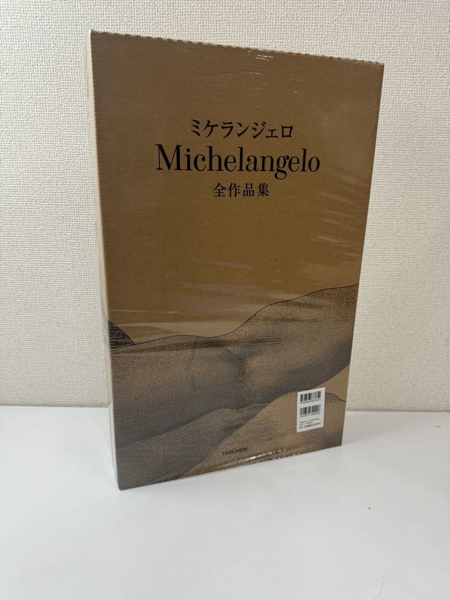 ミケランジェロ 1475−1564 全作品集 / Michelangelo / ダビデ像 / 最後の審判 / ピエタ / ルネサンス Renaissance