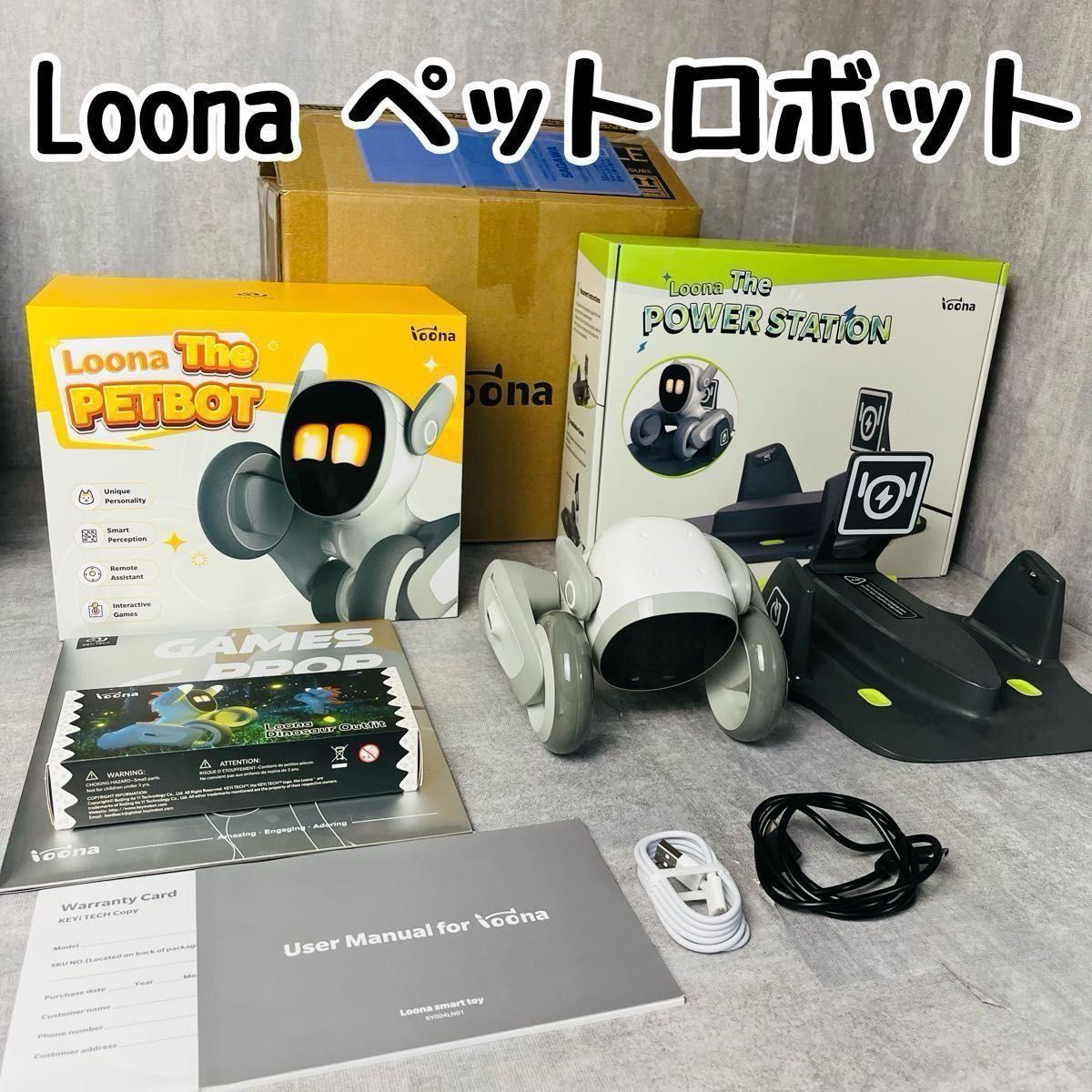 【激レア！】Loona ルーナ ペットロボット 付属品付き AIBO アイボ ロビ