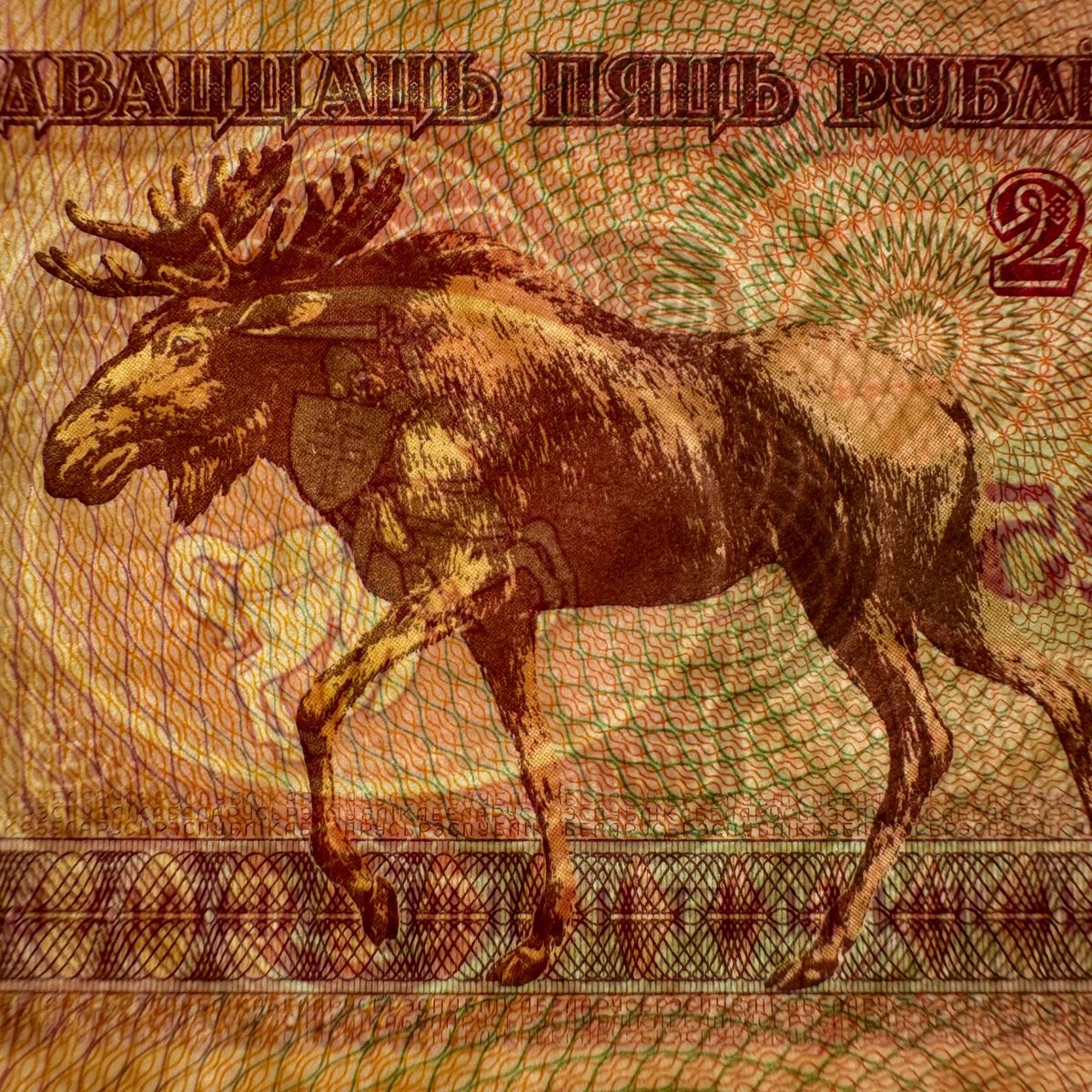 ベラルーシ  2点まとめ   旧紙幣(失効券) 古銭 古紙幣 外国貨幣 外国紙幣
