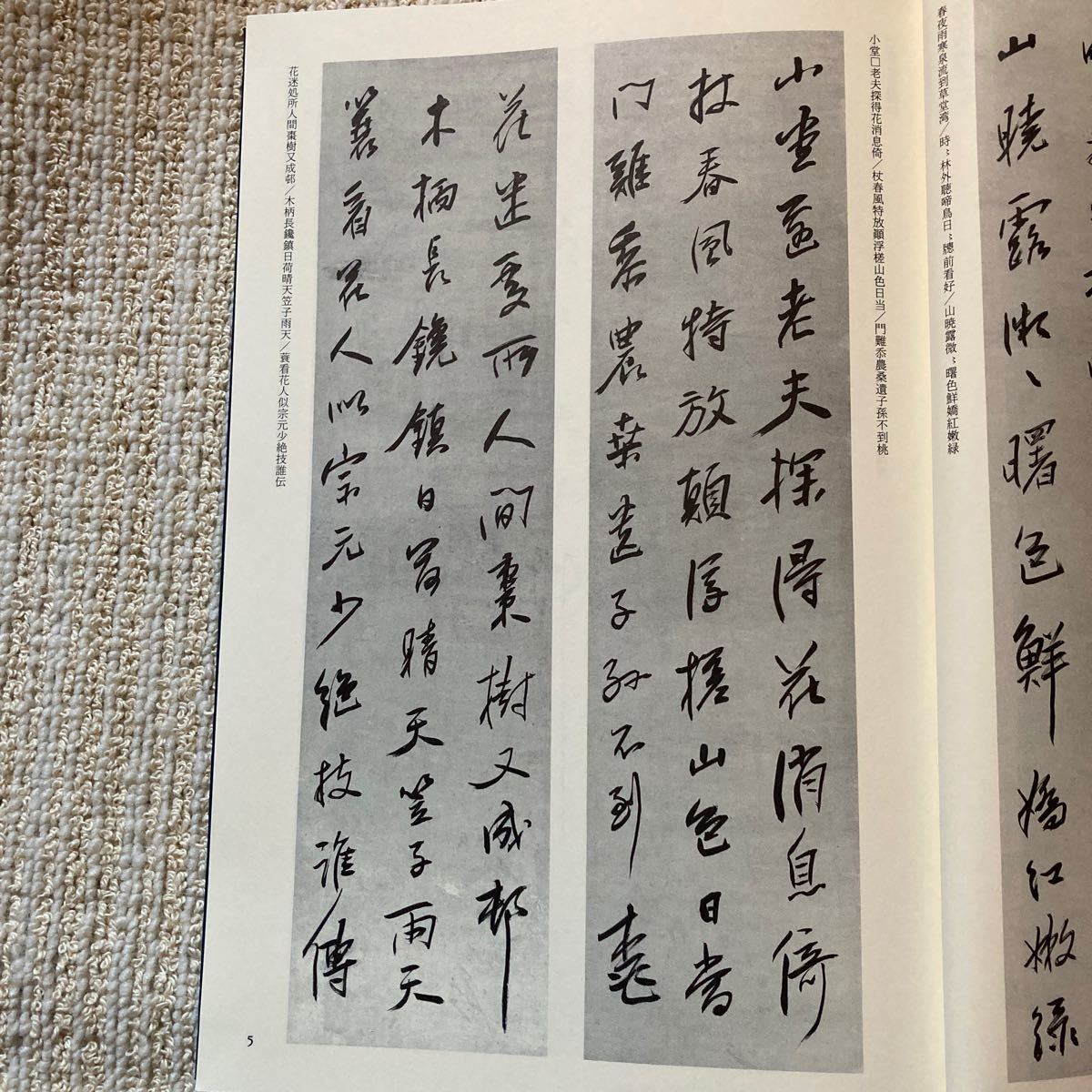 同朋社出版 書学体系II 碑法帖篇第19巻 陳鴻寿の画像6