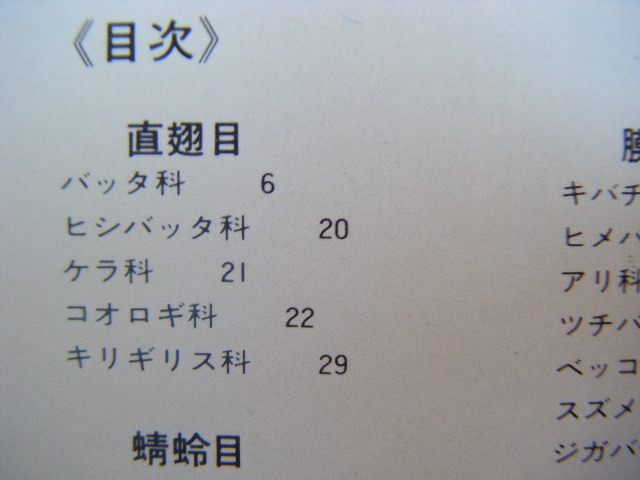 1984年8月初版　フイールド図鑑『昆虫』矢島稔・佐藤有恒著作　東海大学出版会_画像4