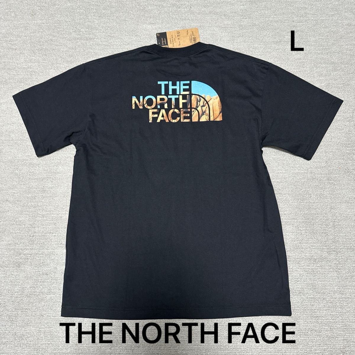 【The North Face】Heat Tシャツ 半袖 グラフィックロゴ THE NORTH FACE バック ロゴ Tシャツ 半袖 Lサイズ|Yahoo