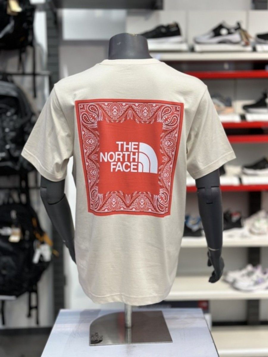  THE NORTH FACE ノースフェイス Tシャツ メンズ レディース 半袖 ペイズリー柄 綿100% ロゴ L K483B