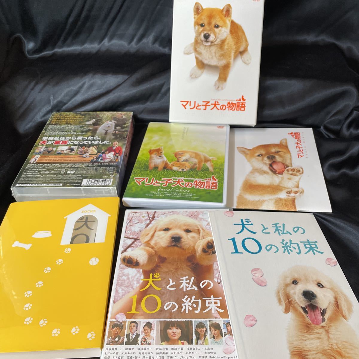 【DVDまとめて】幼獣マメシバ マメシバ一郎 犬と私の10の約束 マリと子犬の物語 犬飼さん家の犬 特典付き 犬 動物 _画像5