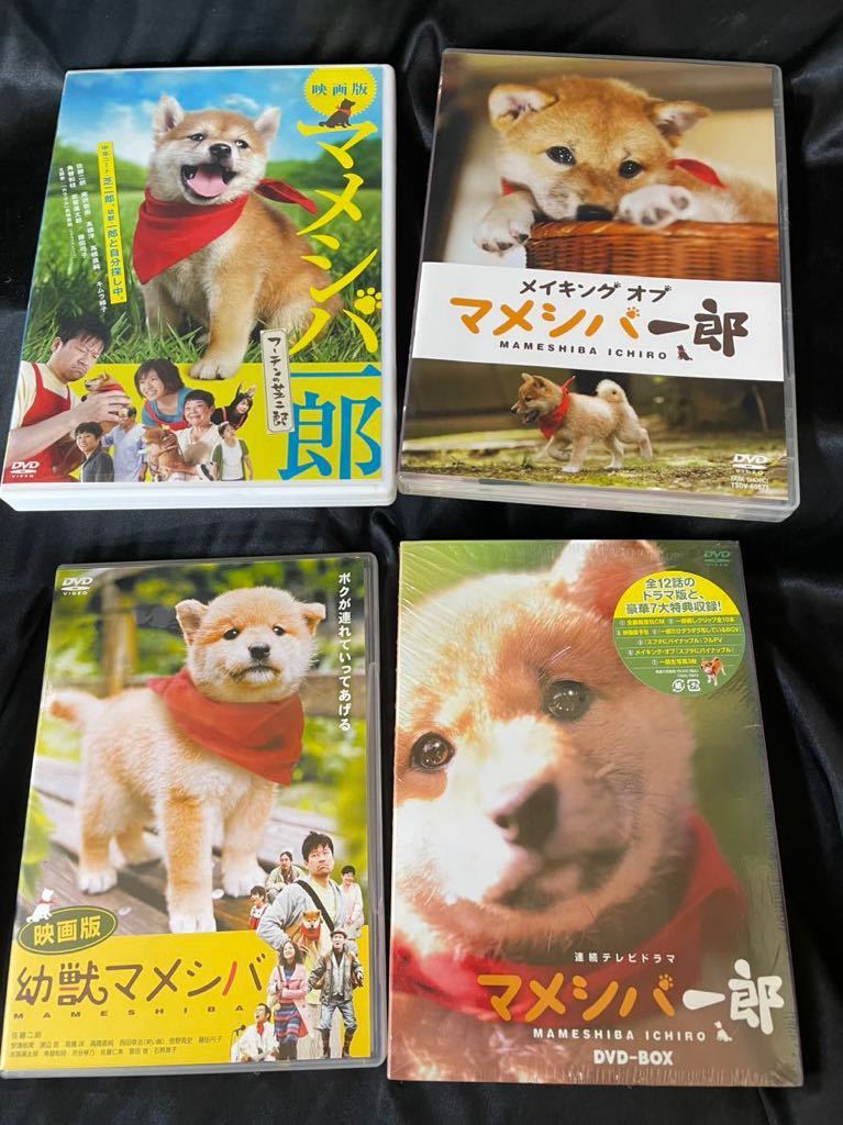 【DVDまとめて】幼獣マメシバ マメシバ一郎 犬と私の10の約束 マリと子犬の物語 犬飼さん家の犬 特典付き 犬 動物 _画像2
