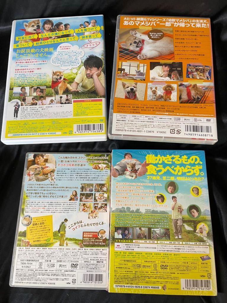 【DVDまとめて】幼獣マメシバ マメシバ一郎 犬と私の10の約束 マリと子犬の物語 犬飼さん家の犬 特典付き 犬 動物 _画像3