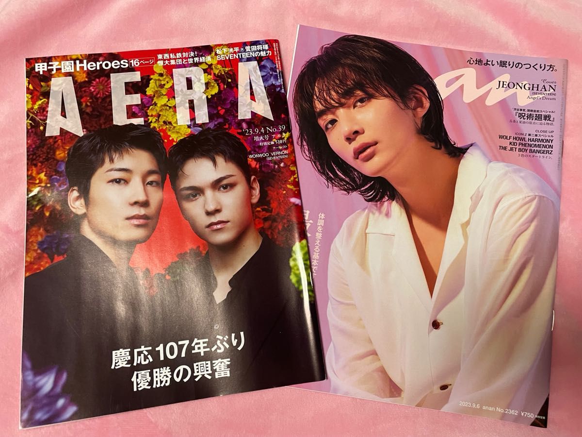 SEVENTEEN ジョンハン　ウォヌ　バーノン　AERA anan 雑誌　セブチ