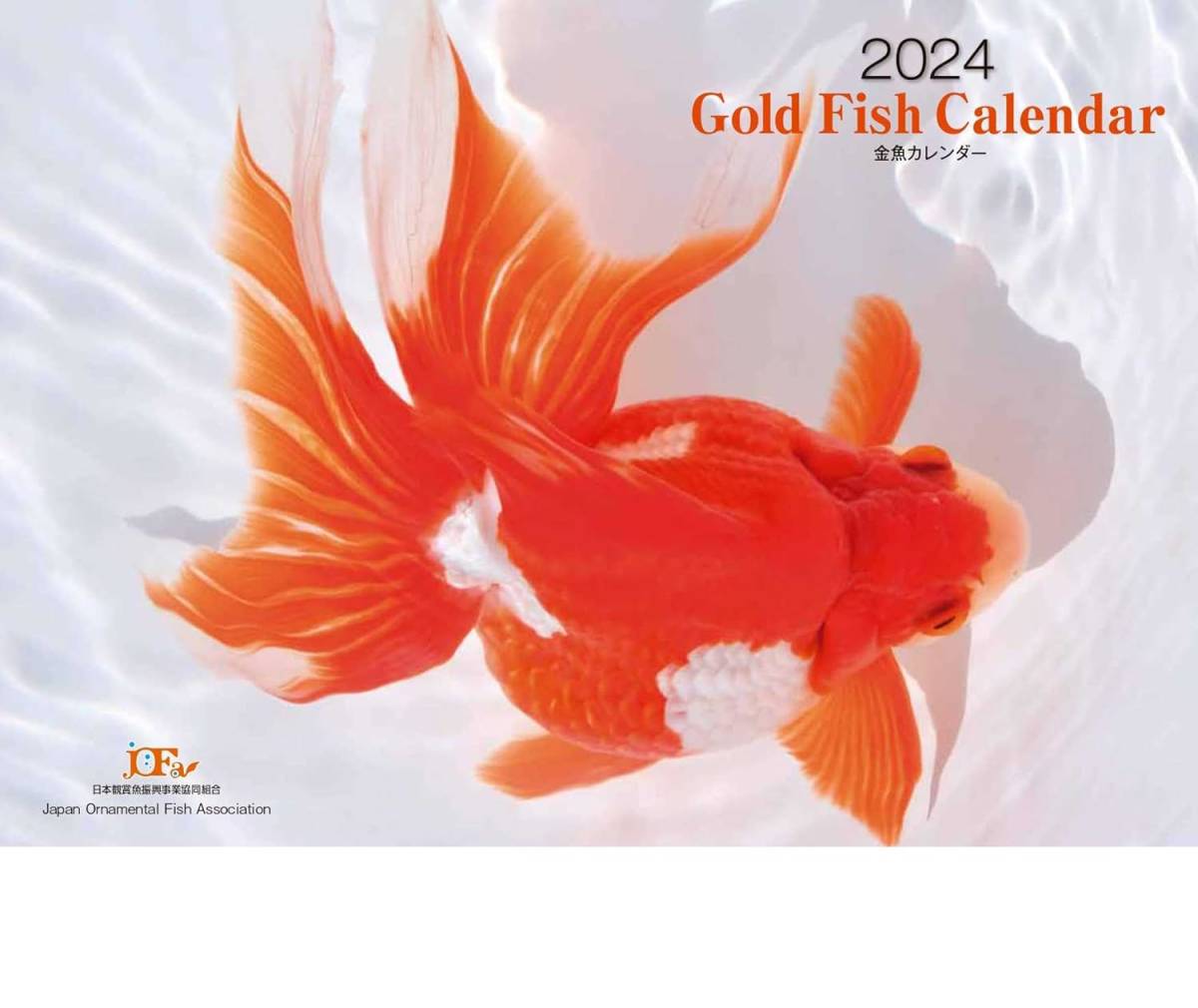送料無料★２０２４年金魚カレンダー 日本観賞魚振興事業協同組合_画像1