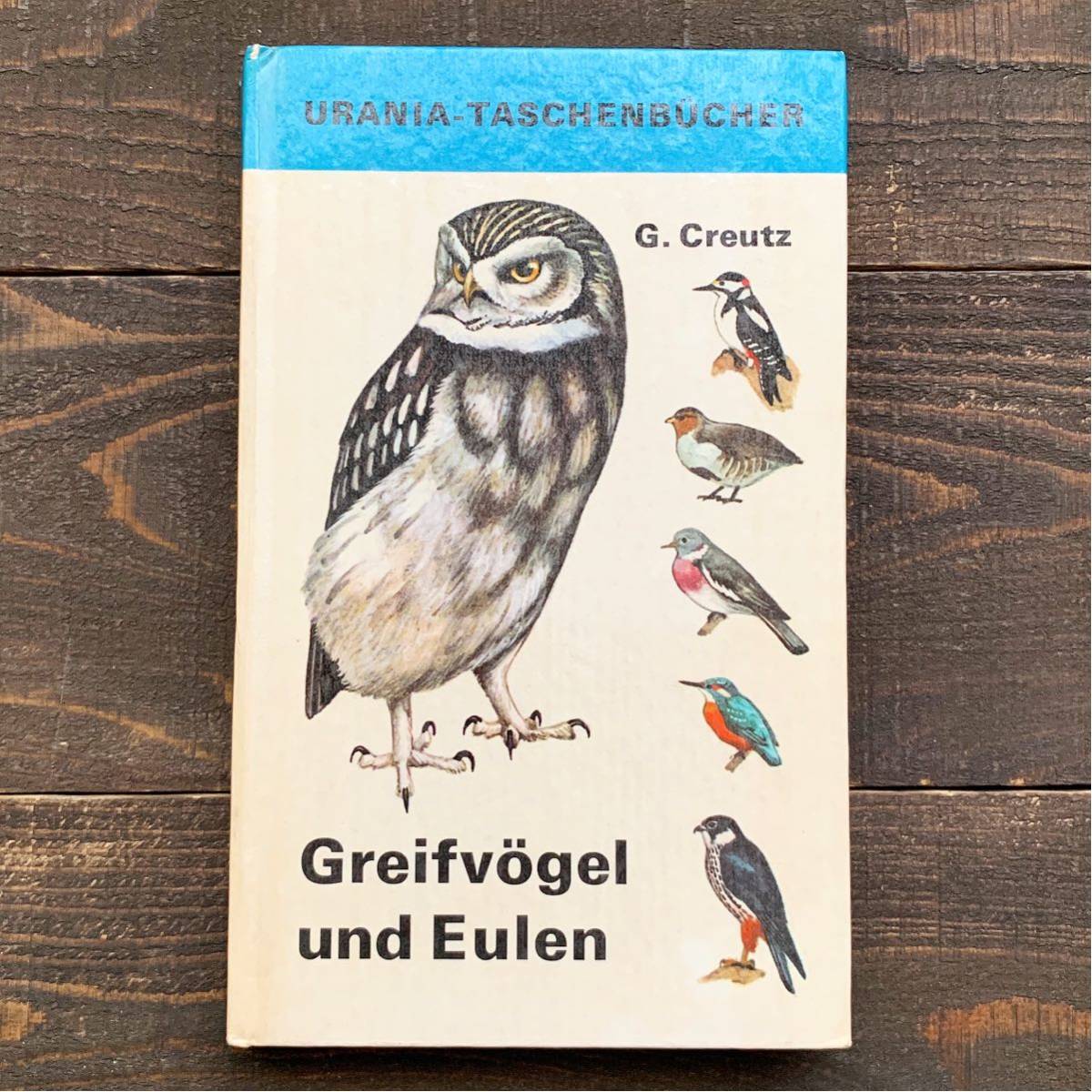 東ドイツの古いと鳥類図鑑(Greifvogel und Eulen1973年)/アンティーク ヴィンテージ ヨーロッパ 鳥図鑑 猛禽類 フクロウ DDR 雰囲気◎/の画像1