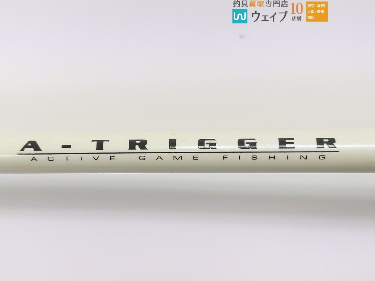 ダイワ A-トリガー カレイ 165_140S450584 (2).JPG