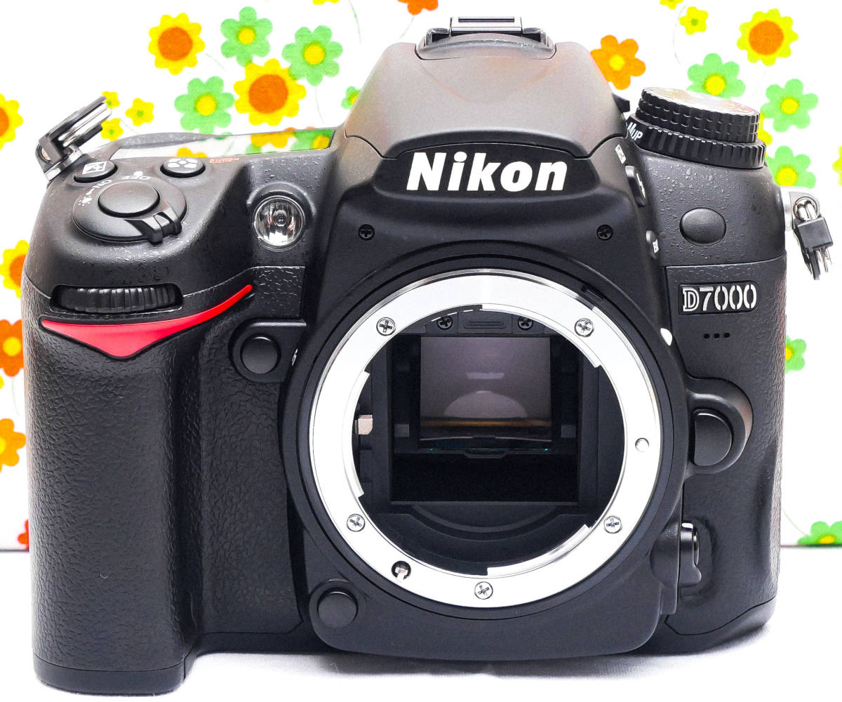 美品 ニコン Nikon D7000☆スマホに転送可♪☆ダブルレンズ☆本格一眼_画像5
