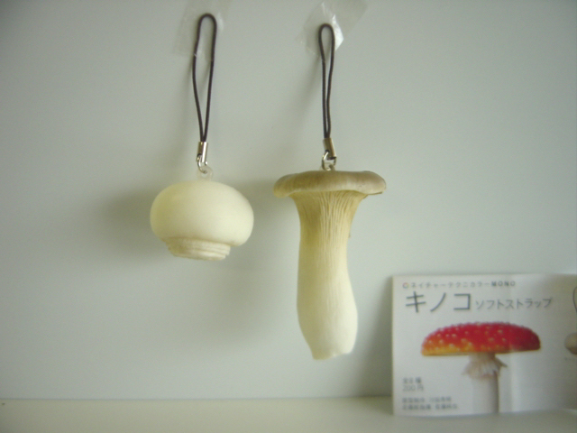 #Gyi17PG nature Technica la- грибы soft ремешок популярный 2 вид *..KITAN CLUB*200 иен =008939_b
