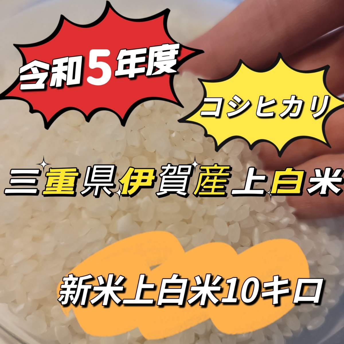 値下げ4200円→3999円！注文後に精米します！新米【令和5年産】三重県 伊賀米 コシヒカリ 10㎏ _画像1