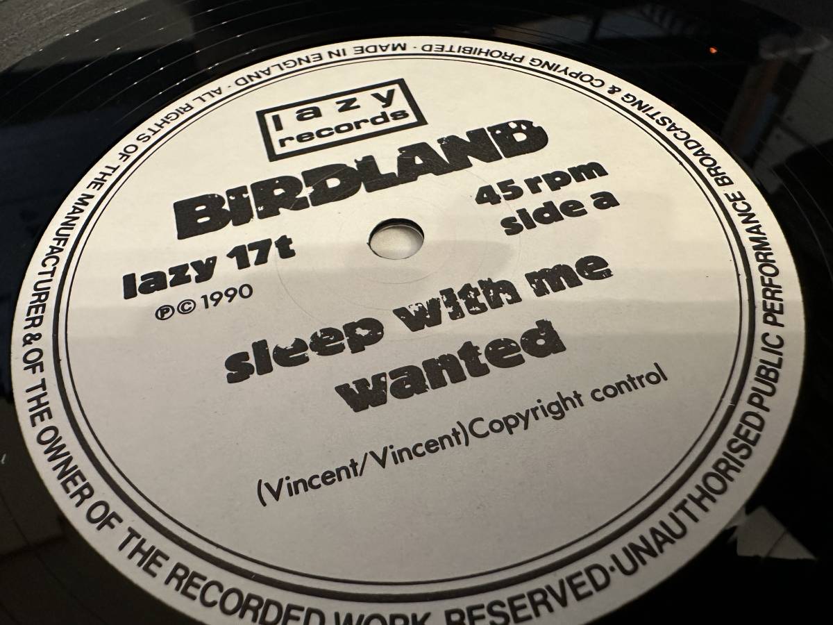 12”★Birdland / EP3: Sleep With Me / UKインディーロック！_画像3