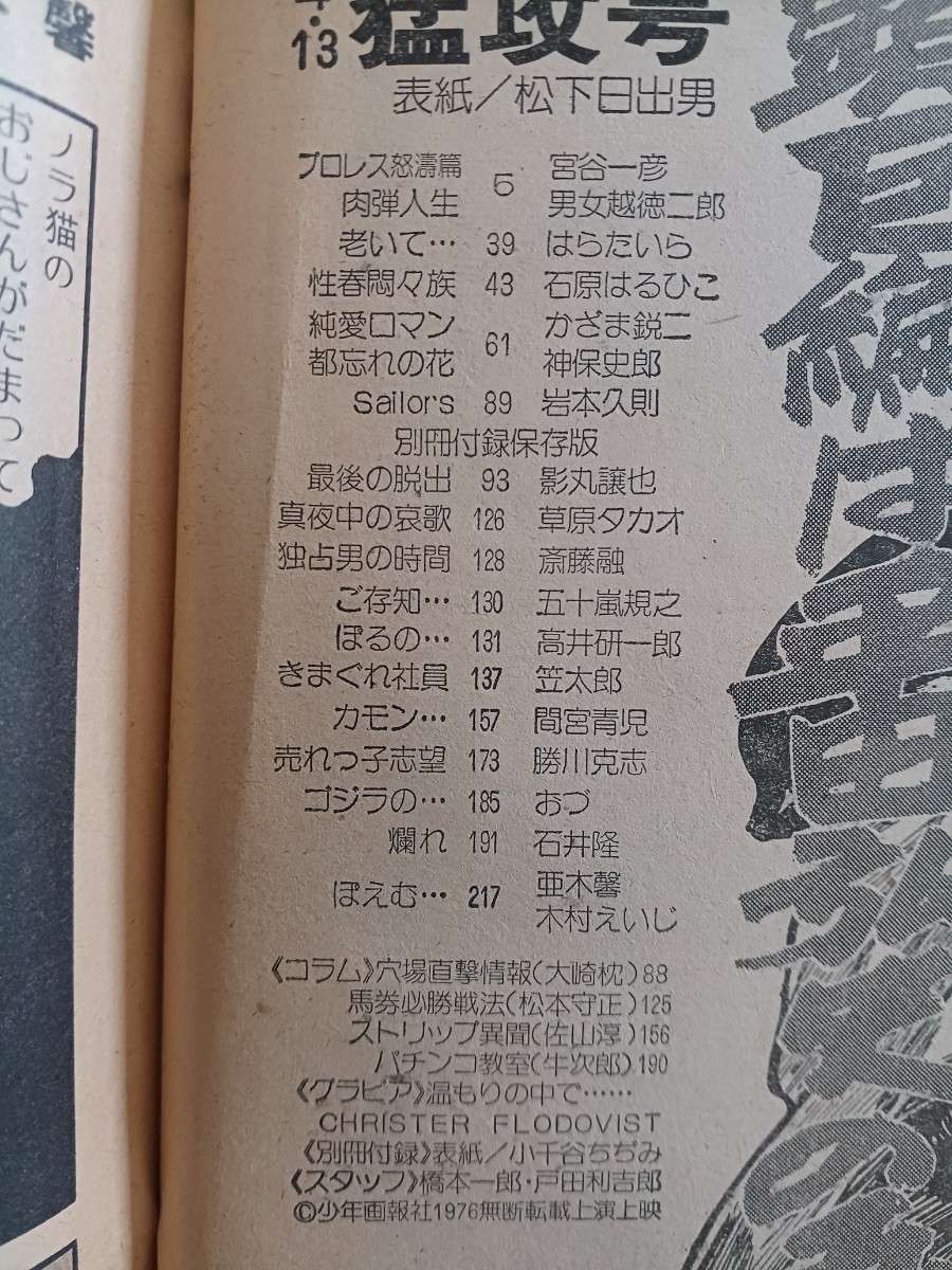 1976年増刊ヤングコミック　カラーグラビア付き　4月号　石井隆_画像3