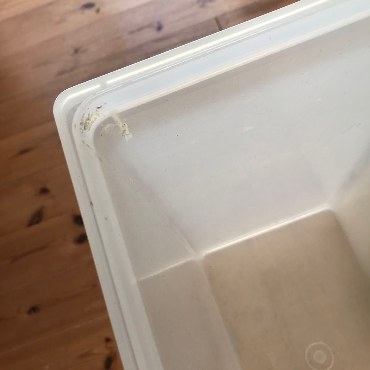 Tupperware タッパーウエア 10キロキーパー 保存容器 米びつ 粉 Tupperware タッパーウエア 10キロキーパー 保存容器 米びつ 粉
