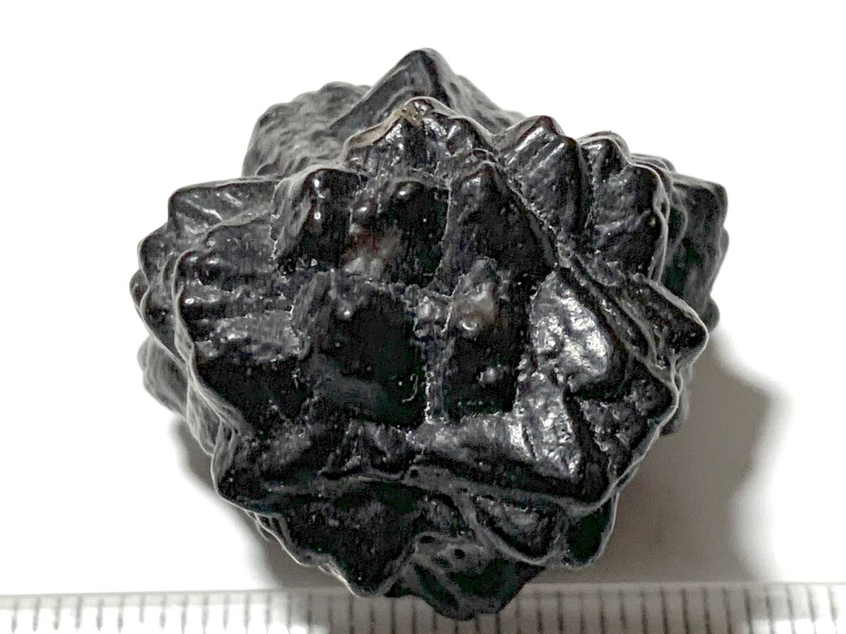 6-10・28g　ユニークな形状のエジプト産褐鉄鉱・ゼットストーン・預言石（エジプト産鉱物標本）_画像2