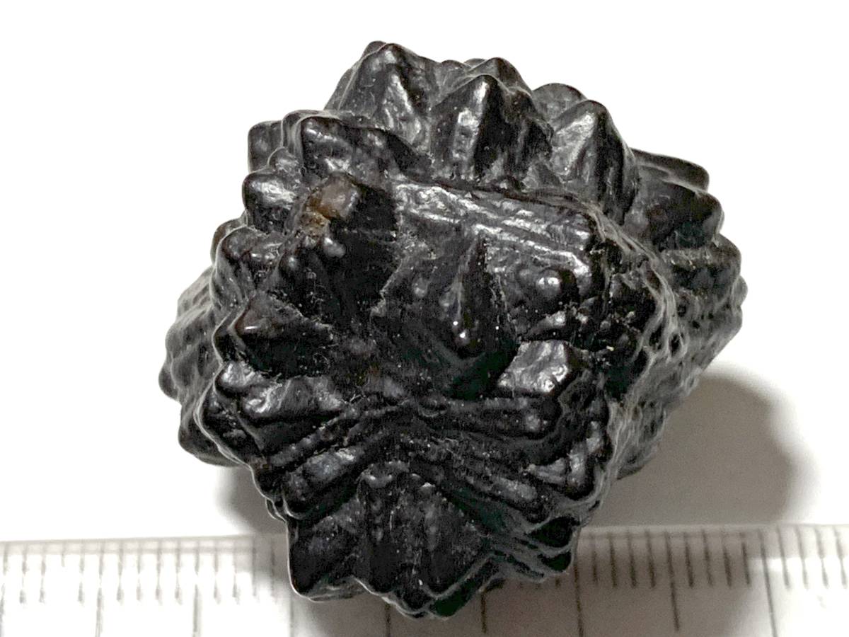 6-10・28g　ユニークな形状のエジプト産褐鉄鉱・ゼットストーン・預言石（エジプト産鉱物標本）_画像1