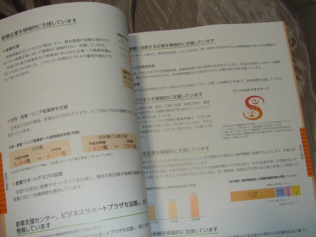 [2018 Japan policy financing ..tis closure magazine jfc ] loan financial institution capital . attaching Bank 