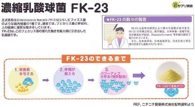 ⑨プロテサンS62 ソフト顆粒 FK-23乳酸菌4兆個 93g 1.5g×62包 6個セット 濃縮乳酸菌サプリメント ニチニチ製薬_画像4