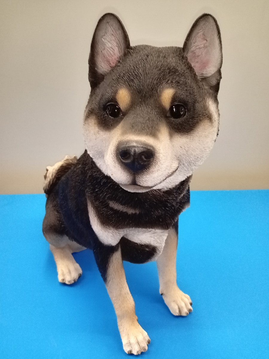 豆柴犬 置物 原寸大 豆柴犬 置物 原寸大