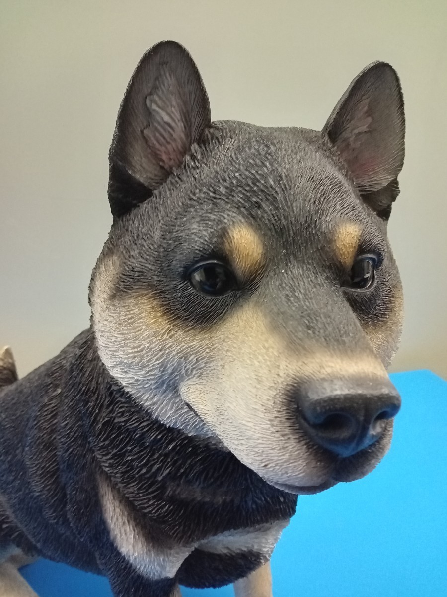 8500円 豆柴犬 置物 原寸大 - 生き物 8500円 豆柴犬 置物 原寸大 - 生き物