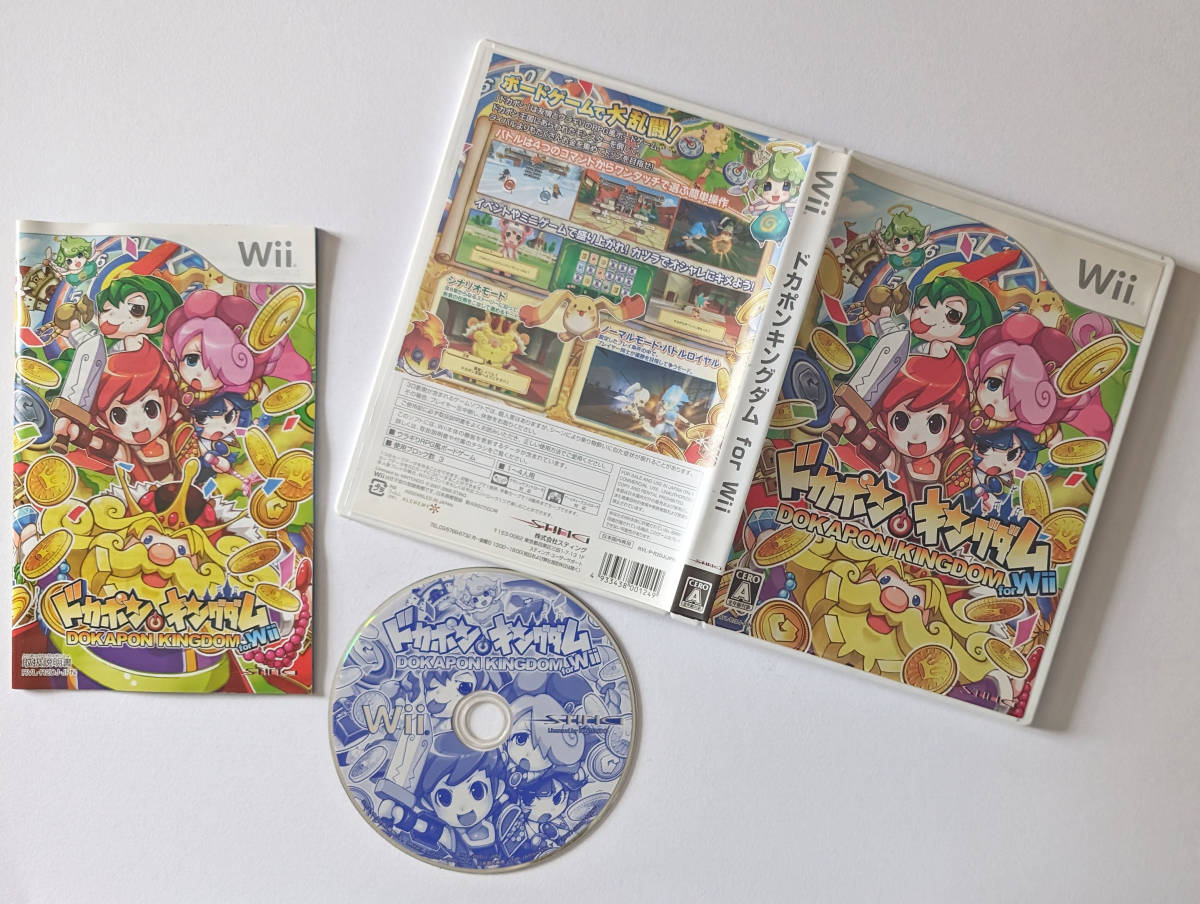 Wii ドカポンキングダム　NIntendo Dokapon Kingdom