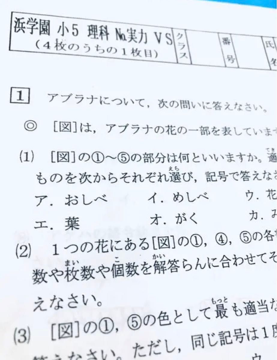 浜学園　小5 国語　算数　理科 Sクラス復習テスト　 解答、解答用紙あり　