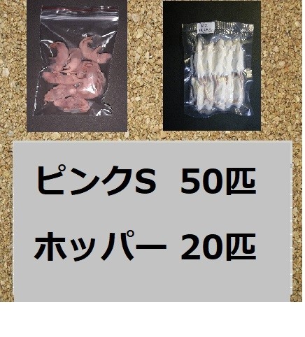 国産冷凍マウス　ピンクS50匹　ホッパー20匹_画像1