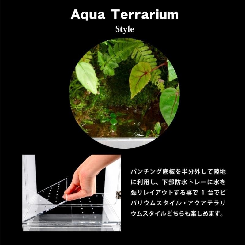 【送料無料】ArionJapan　LX50 integral