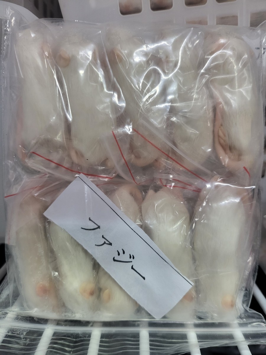 [ cool flight shipping free shipping ] freezing faji- mouse 30 pcs 