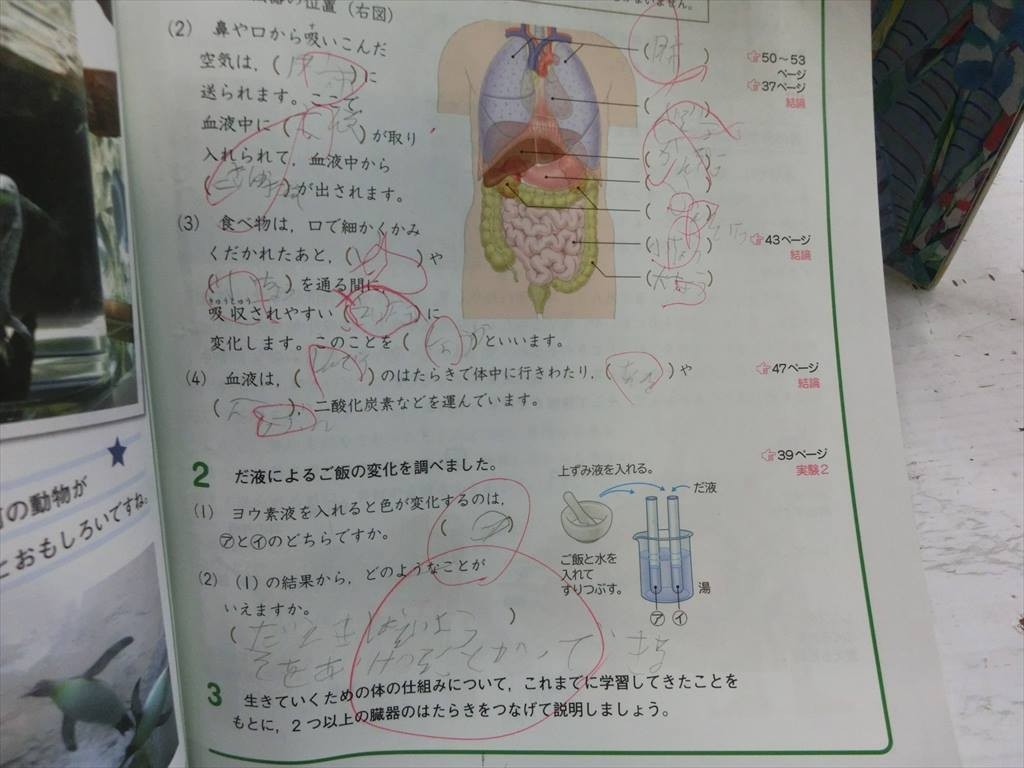 T【3た-99】【100サイズ】小学校教科書まとめ売り/国語 社会 算数 道徳 理科 他/勉強/※ヨレ、クセ、書き込み多数あり_画像9