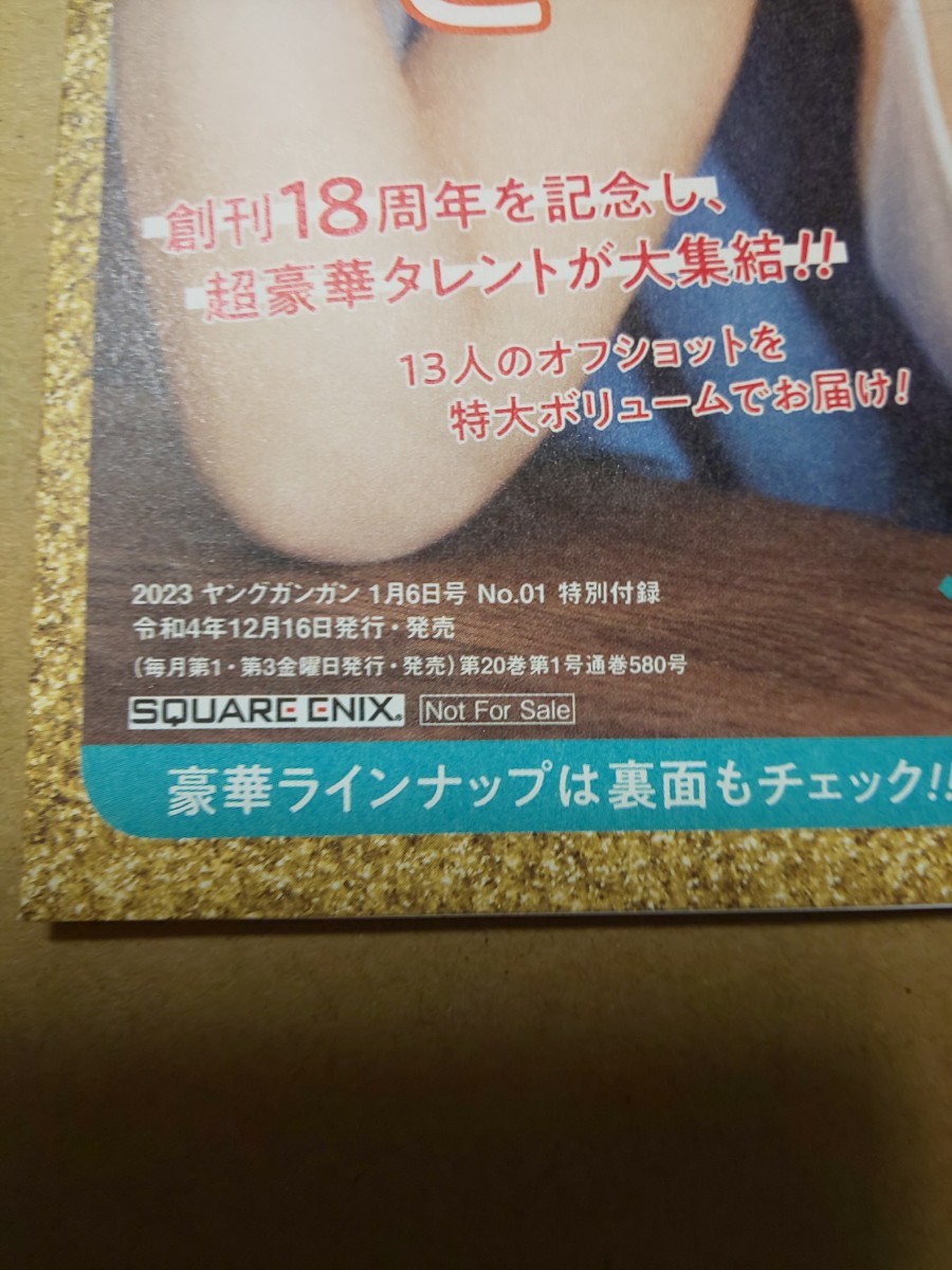 未開封 ヤングガンガン 2023年 1/6 号 No.1 DVD えなこ 雪平莉左 鈴木愛理 米村姫良々 北川莉央 伊勢鈴蘭 西田汐里 愛瀬ひな ピョ・ウンジ _画像3