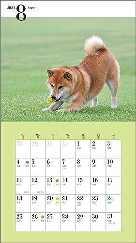 2024年カレンダー かわいい柴犬 (誠文堂新光社カレンダー)