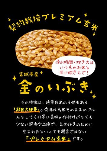 玄米食用 PREMIUM 玄米 金のいぶき 5kg_画像6