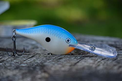 Rapala(ラパラ) クランクベイト DT ダイブストゥ 6cm 17g ミュール MULE DT10-MULE ルアー_画像4