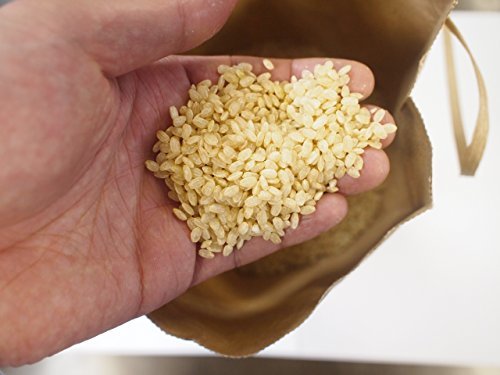 ta..... Kyushu Kumamoto production germination brown rice remainder . pesticide less 3kg