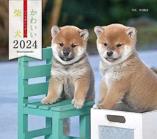 2024年カレンダー かわいい柴犬 (誠文堂新光社カレンダー)