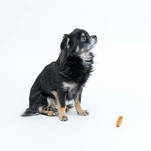 ペットプロ 犬用おやつ HappyDays 大地からの贈り物 ヤクミルクチーズスティック スティック S 3本入り_画像9