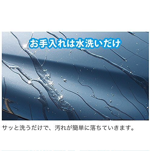プロスタッフ 洗車用品 ガラス系ボディーコーティング剤 グラシアス 220ml S143 マイクロファイバークロス×2枚付き_画像6